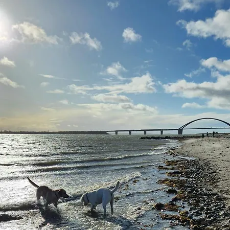 Ferienresidenz Haus Vogelflug Strandresidenz Vogelflug App 17 * Femern